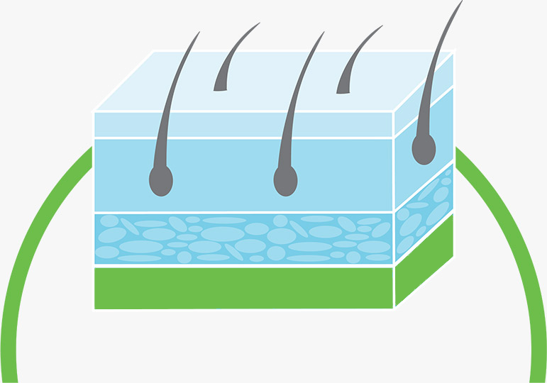 Dermaquin Skin Cell Beta-Glucan