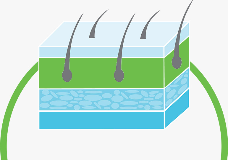 Dermaquin Skin Cell Gamma-Linolenic Acid