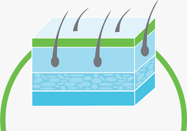 Dermaquin Skin Cell Ceramides