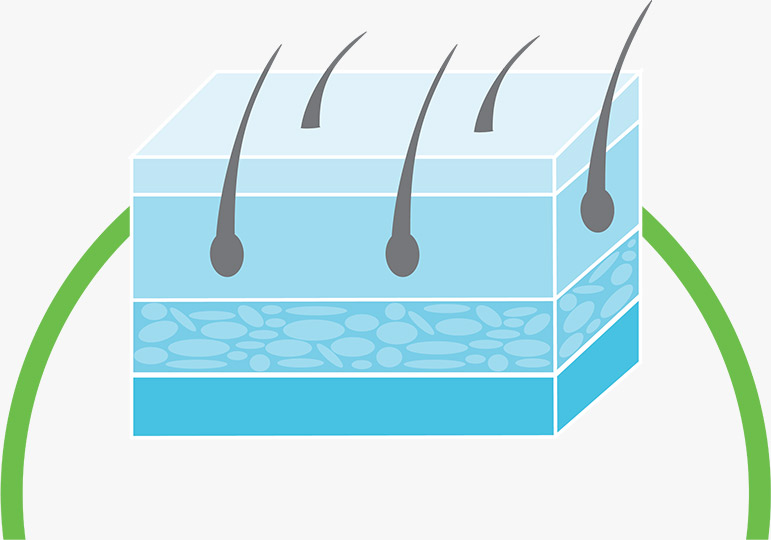 Dermaquin Skin Cell