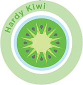 Hardy Kiwi