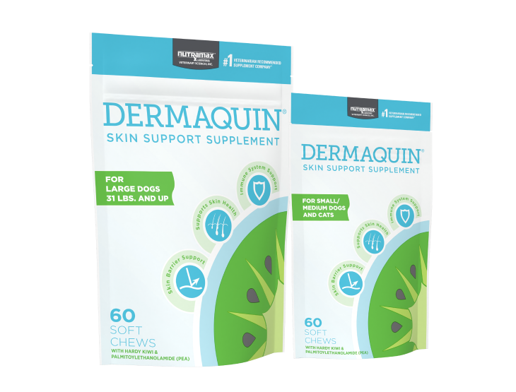 Dermaquin product bags