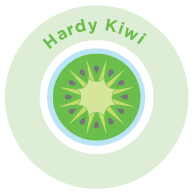 Hardy Kiwi